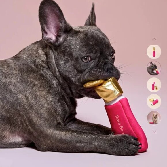 NWT Rare Beauty  by Selena Gomez Soft Pooch Blush Dog Toy - Picture 1 of 8